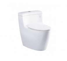 Bồn cầu 1 khối TOTO MS636DT2