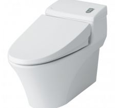 Cầu 1 khối INAX AC-1017VRN
