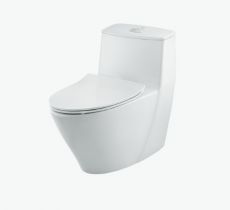 Cầu 1 khối INAX AC-919VRN