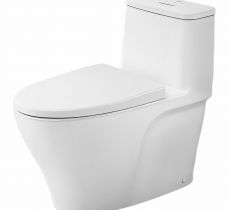 Cầu 1 khối  INAX AC-989VN