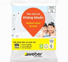 Keo chà ron Weber color Power  dùng cho khu vực ẩm ướt